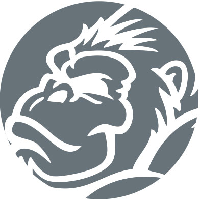 catalyst-website-option-3_gorilla-bones_03
